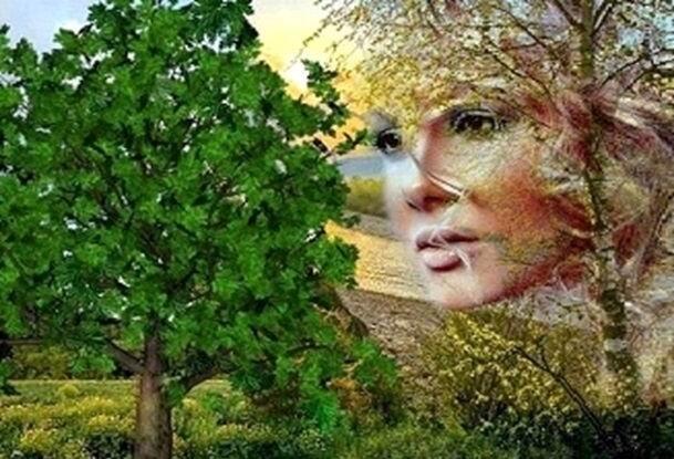 Прошу прощения