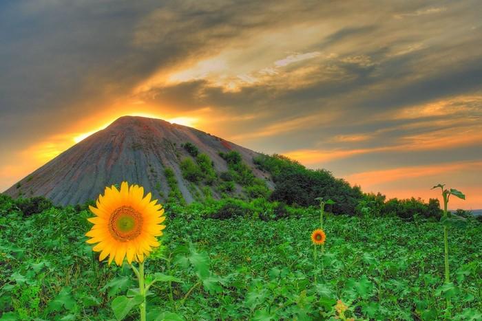 Размышление о войне...