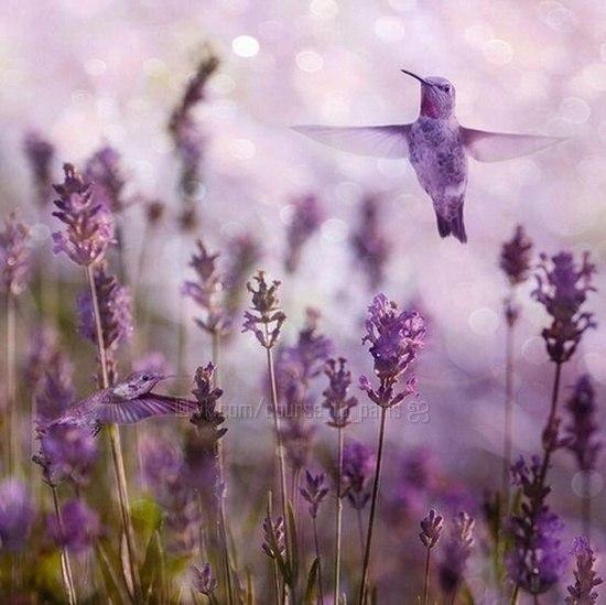 Родной человек