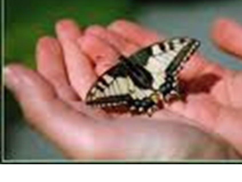 Все в твоих руках