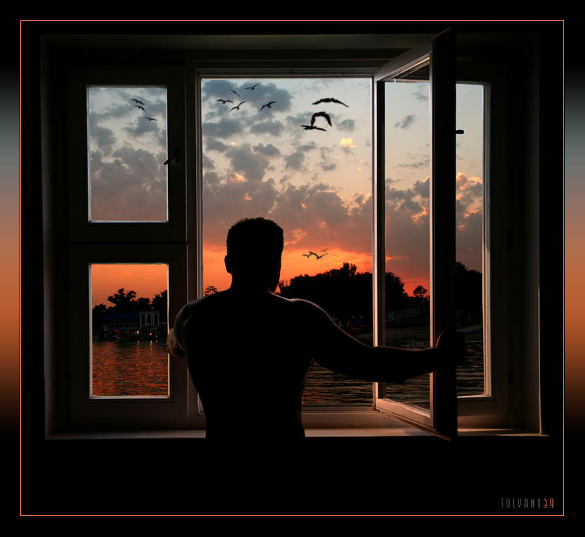 «Дружочек»