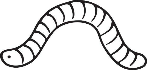 Жизнь червяка