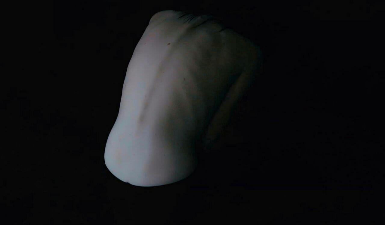 *** Снова ядом залив пустоту...