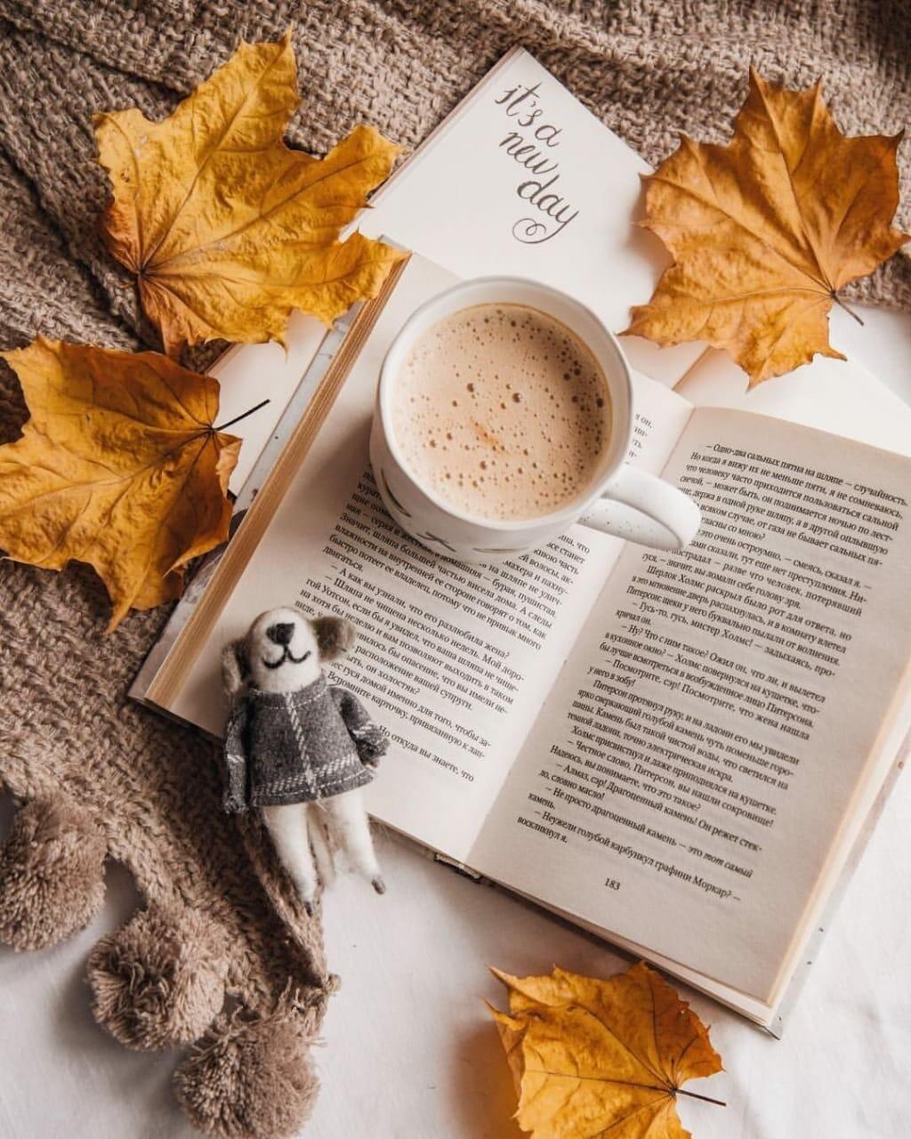 Обычная жизнь - необычные истории: Зови Каролину