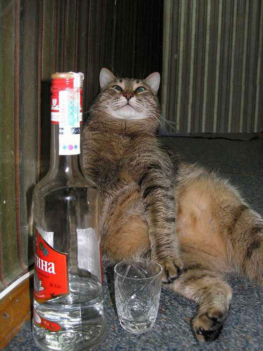 ВСЕГДА СТОЮ В ЛЮБВИ НА СТРАЖЕ !