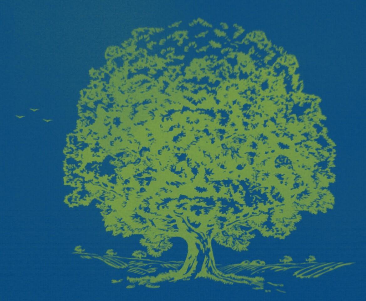 Ночь на хуторе