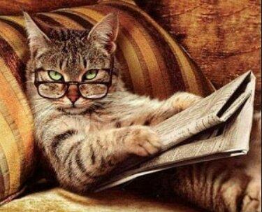 Говорила баба деду.