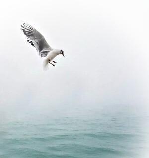 В размытом свете