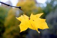 коротышка О полёте