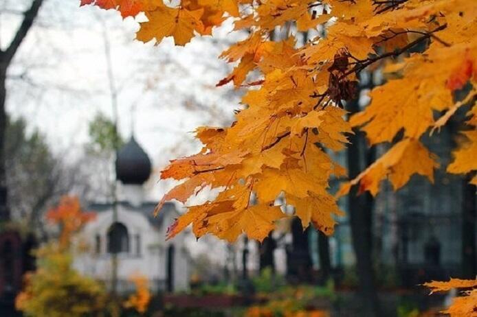 "Размышлений чаша" (03.10.2019)