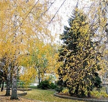 СЕНТЯБРЬСКИЕ ПИСЬМА