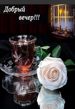 Добрый вечер.