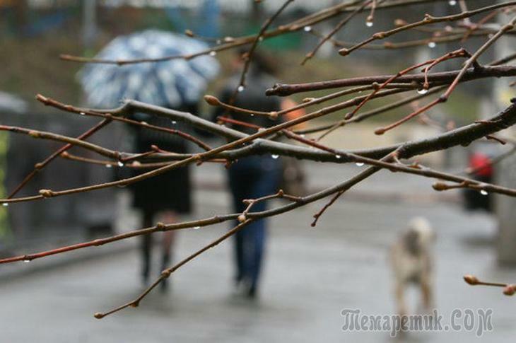 ПЕРВОФЕВРАЛЬСКОЕ