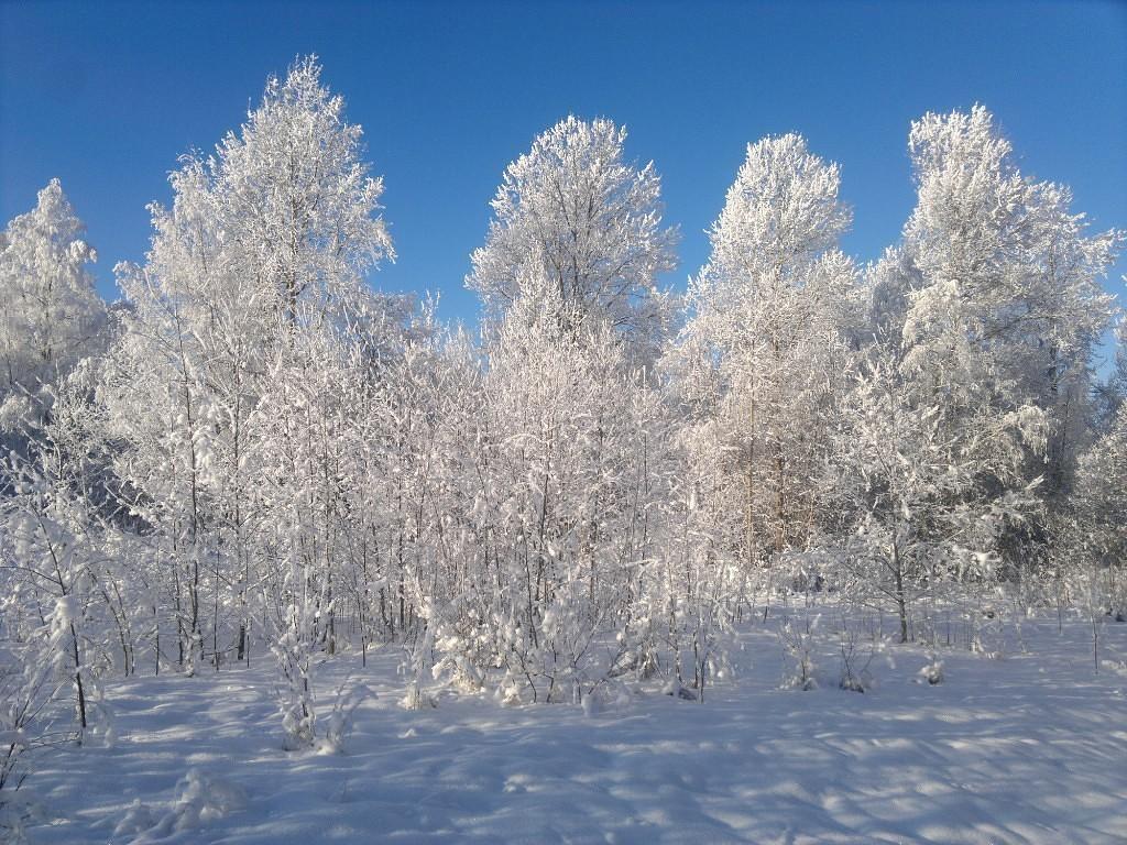 Закрутила зима, завертела