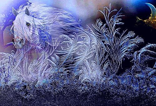 Поле меланхолий