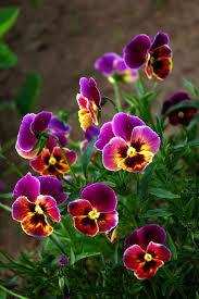 что сравнивать несравнимое