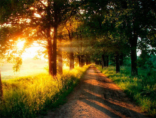 ВСТРЕЧАЙТЕ, ЛЮДИ, ДНЯ НАЧАЛО