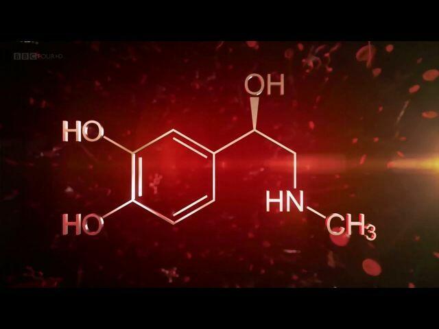 Дофамин-кортизол
