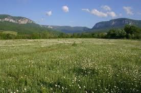 СОКОЛИНОВСКИЕ НЕБЕСА