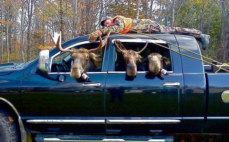 Удачная охота