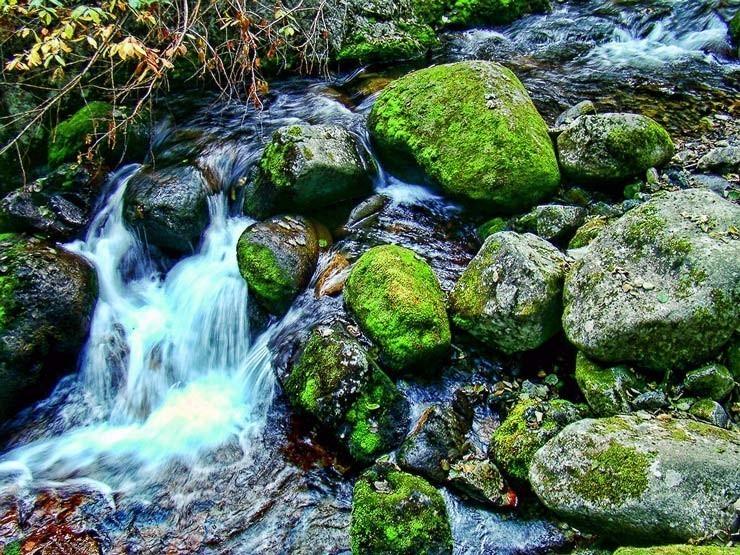 Вместе с Вечером Грусть исчезла…