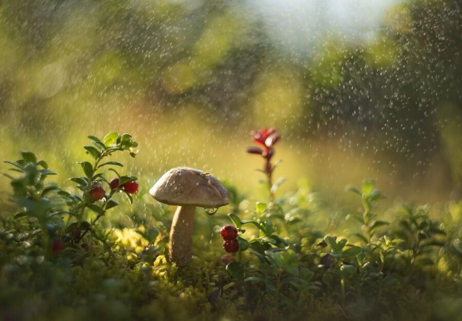 УЖ АВГУСТ ПРОХОДИТ