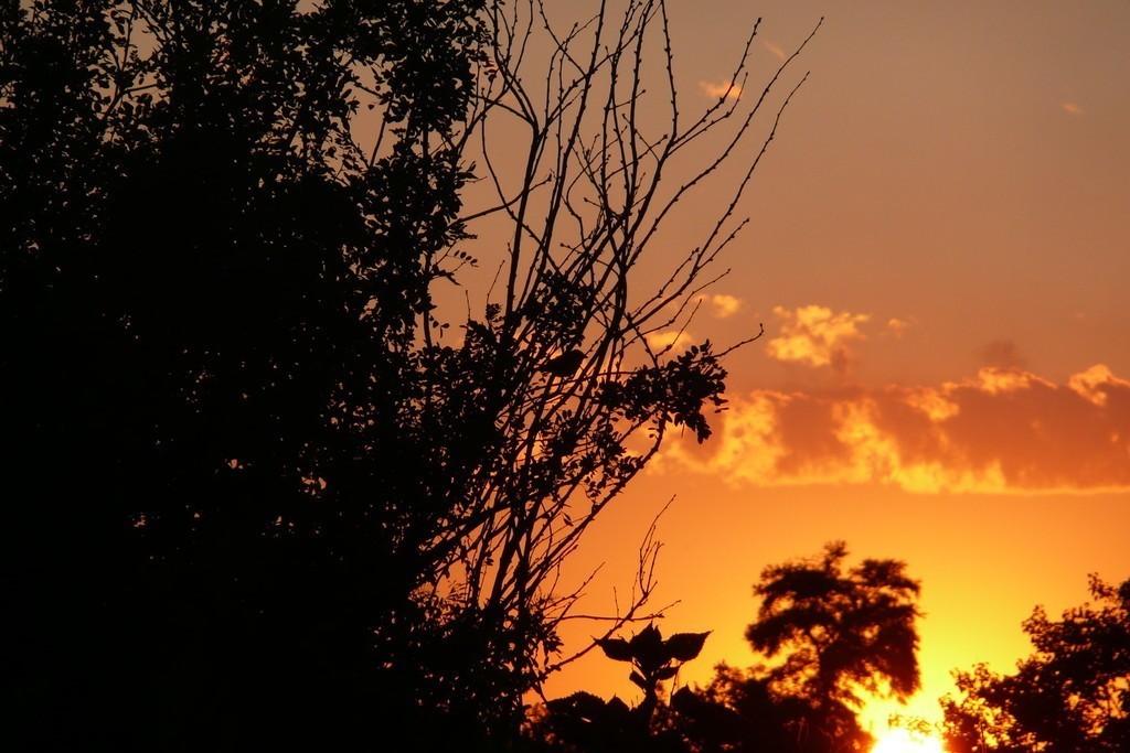 На перекрёстке... (на украинском языке)