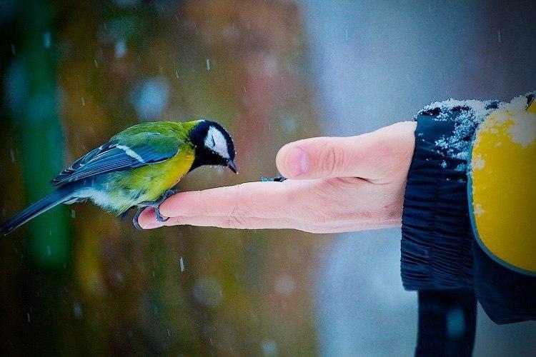 ВЧЕРАШНИЙ ДЕНЬ МЫ В МЫСЛЯХ ВОЗВРАЩАЕМ.