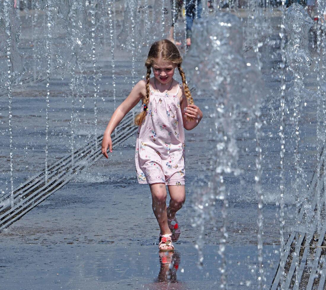 Палавские и Чудаковы