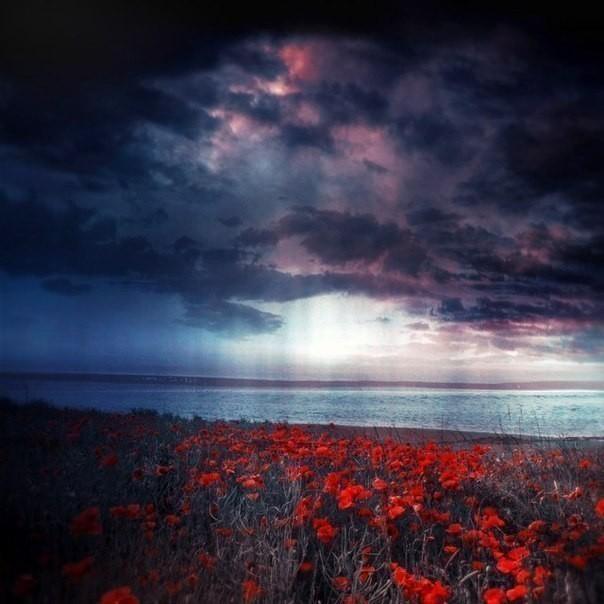 Я сам себе своё небо,я сам свой ад