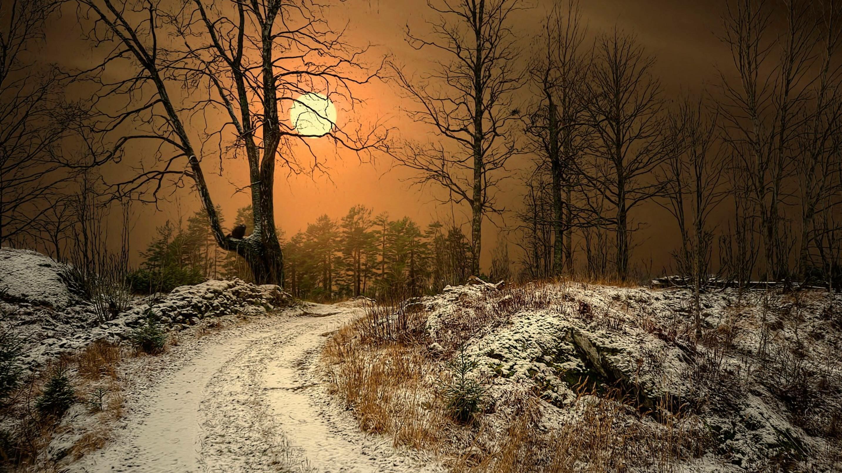 Конец  октября.  Ночное