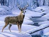 ДОБРАЯ СКАЗКА