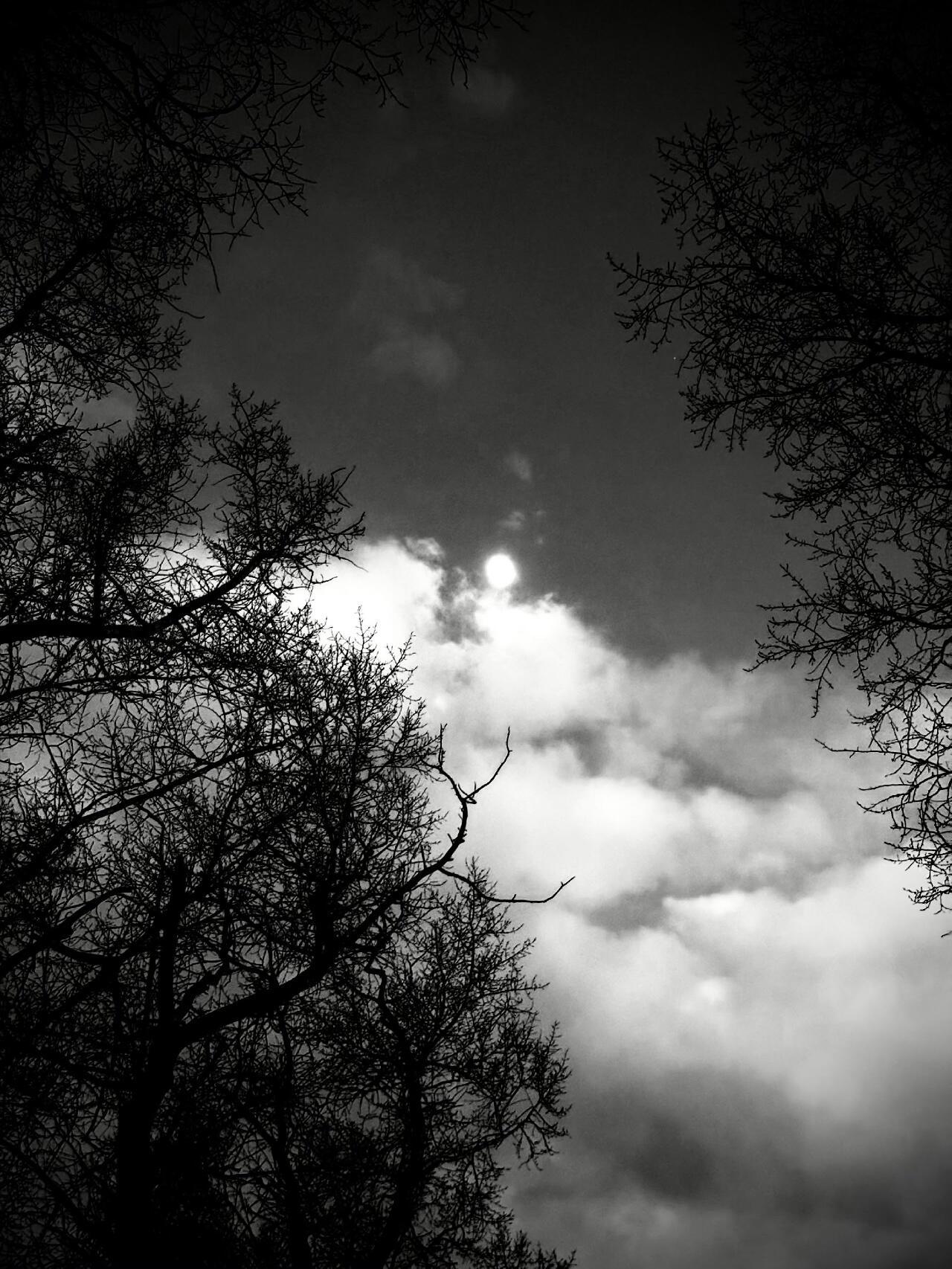 "Чёрно-белое" (28.03.2026)