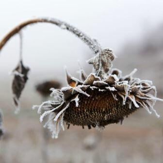 Девятнадцатый март