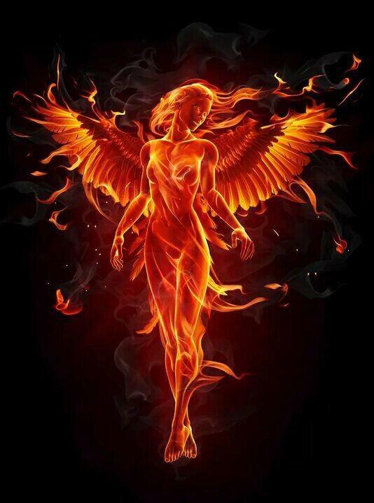 "Тянусь туда, где солнца свет".