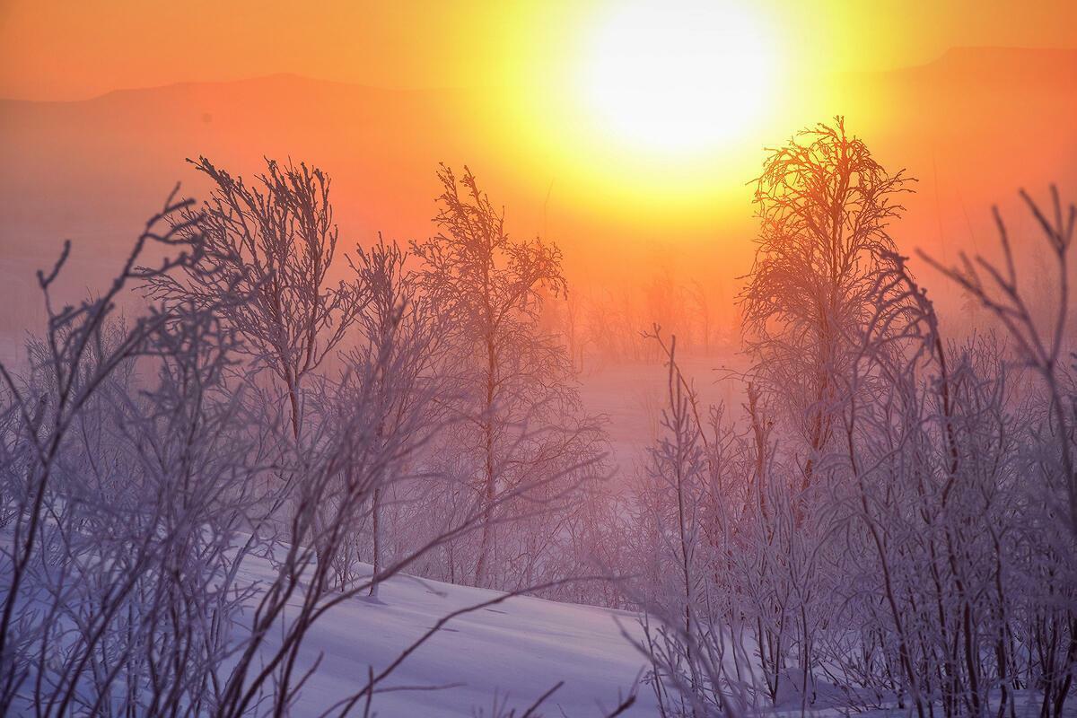 ТУМАН  ВСЕГДА  ЛЖЕЦОМ  СЧИТАЛИ