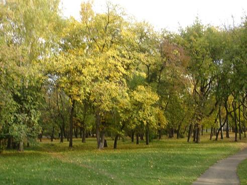 Я не знаю, иль за муки...