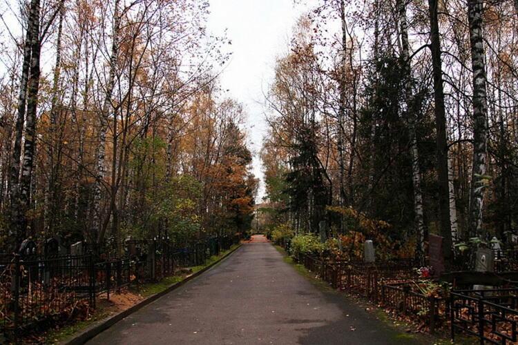 "Дождь прошёл и на кладбище сыро..." (07.11.2021)