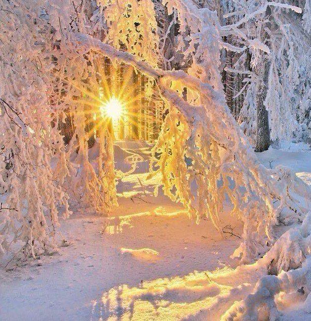 Ответ поэту - Медведь Белый - ЕЩЁ ЧУТЬ - ЧУТЬ