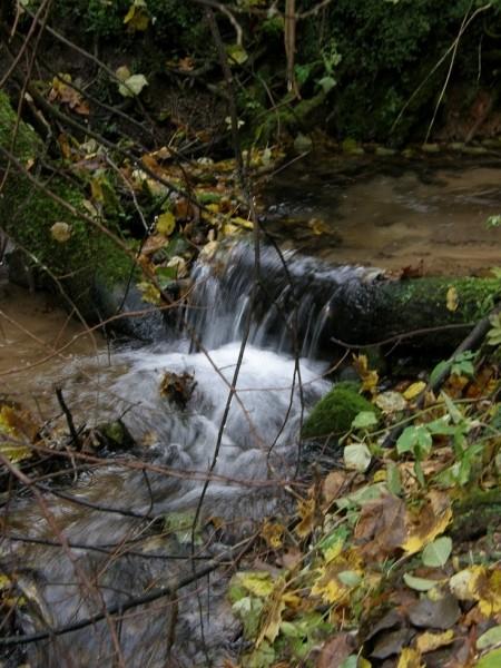 ЖУРЧИТ РОДНИК