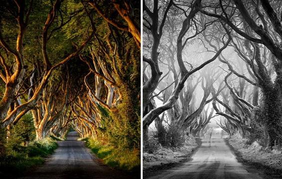 ТВОЯ ДОРОГА