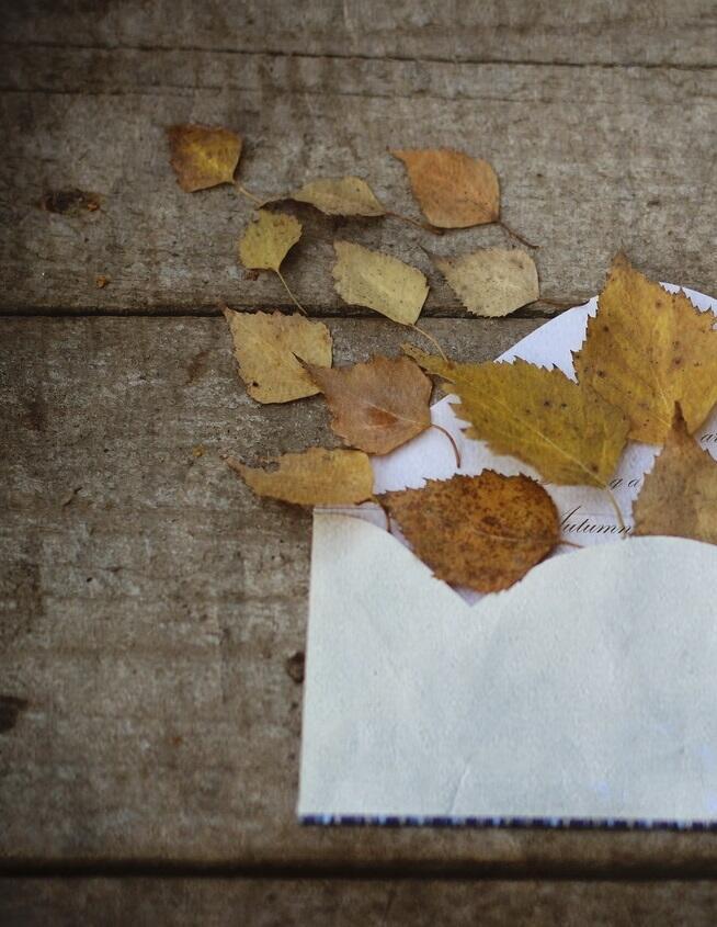 "Вчера письмо я написал..." (12.11.2020)