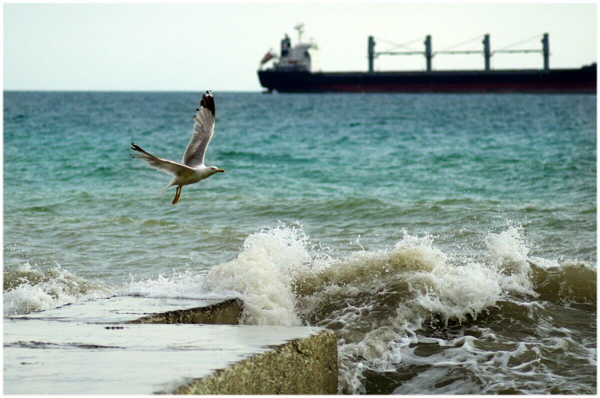 В городе у синего моря...