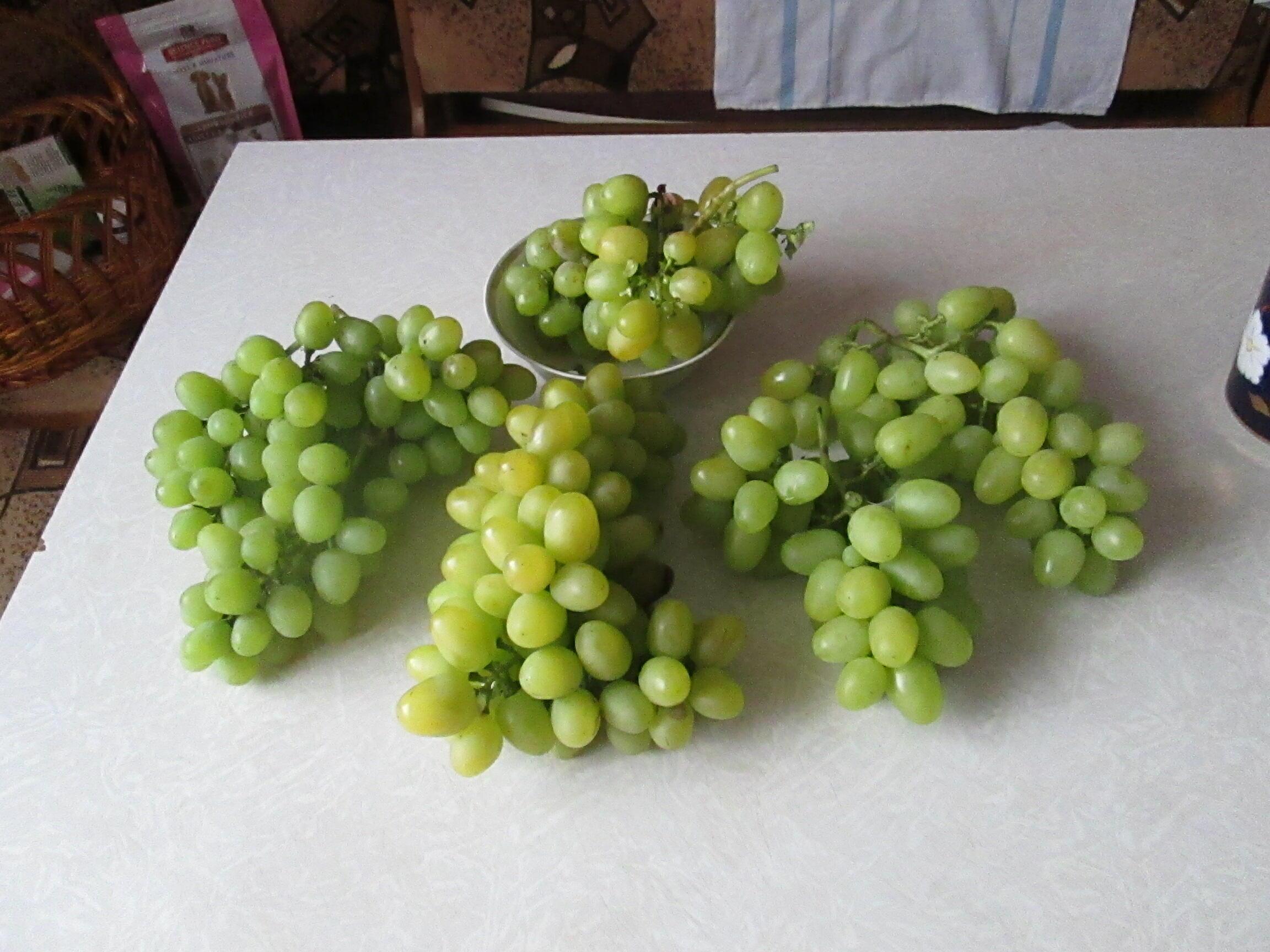 ЖИЗНИ УСЛАДА