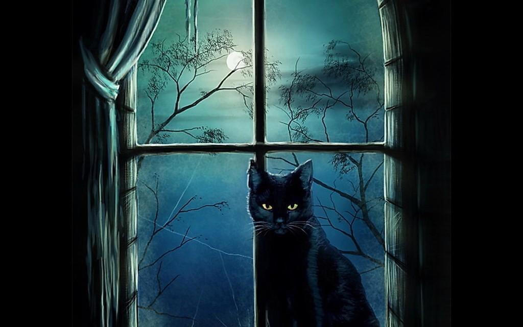 Чёрной кошкой ночь подкралась