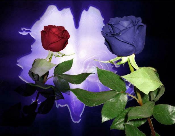 ИХ СОЛНЫШКО ВЕНЧАЛО ЗА ОКНОМ...