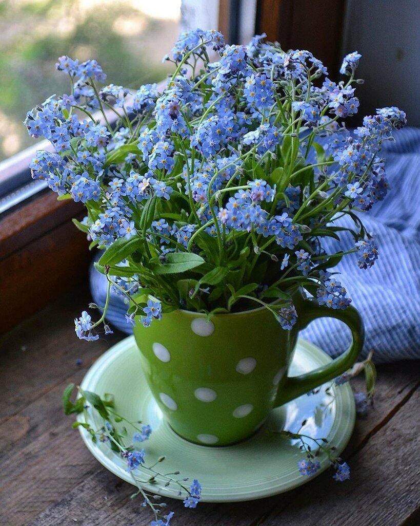 У МЕНЯ ВЕСНА В БОКАЛЕ - (зарисовка)