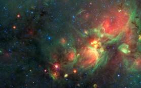 Жизнь идёт...