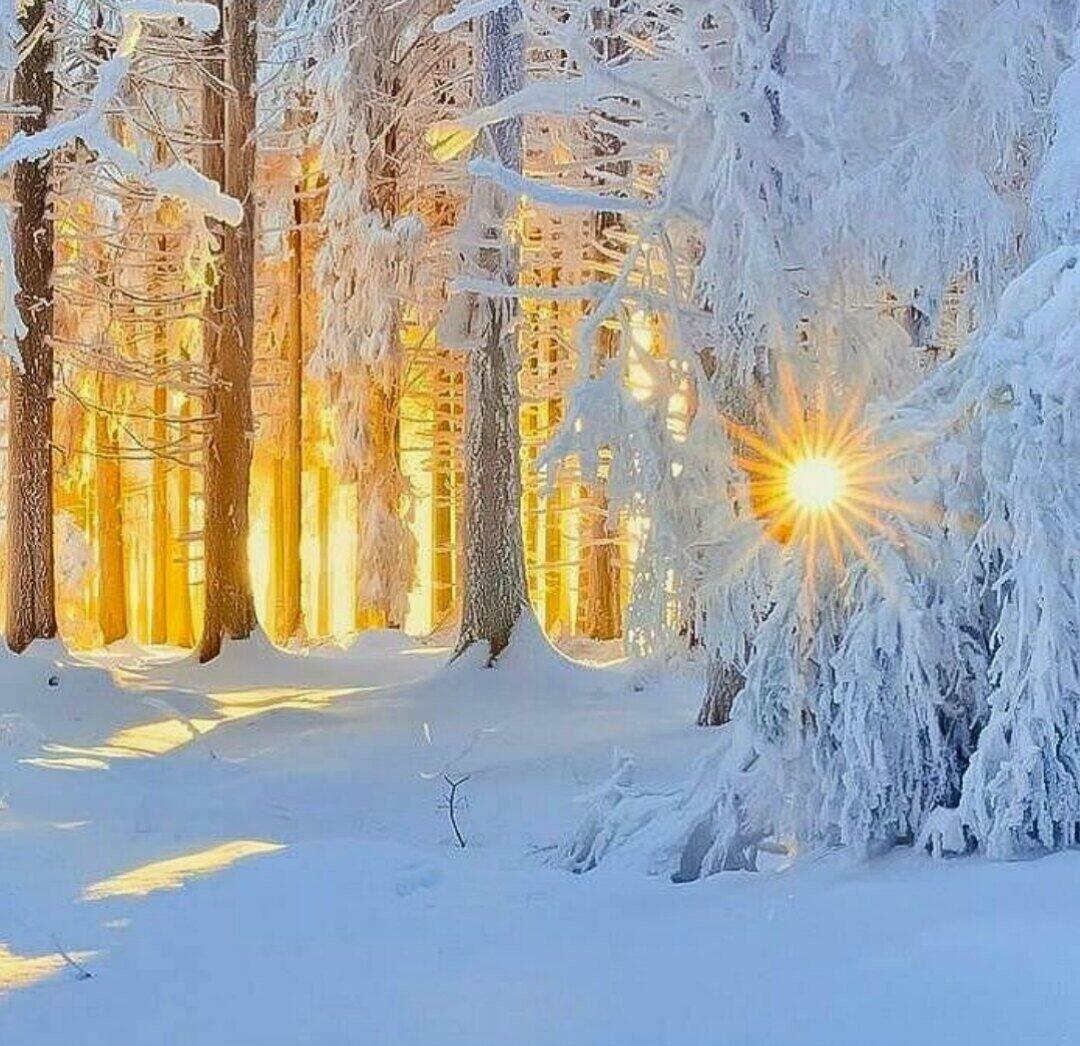 Улеглось моё волнение...