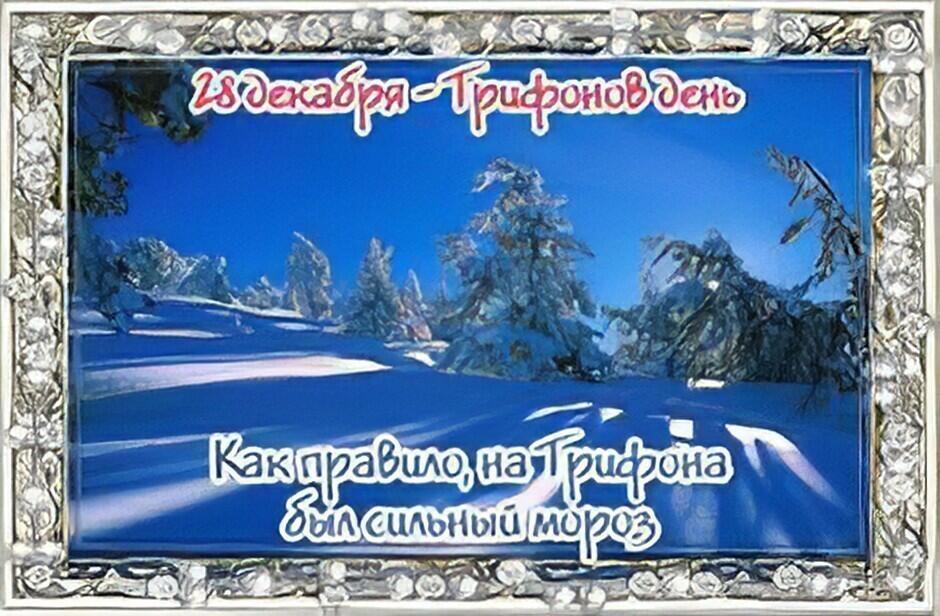 28 декабря - Трифонов день.